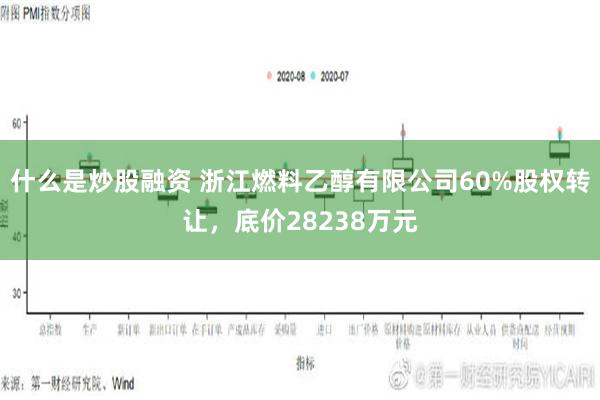 什么是炒股融资 浙江燃料乙醇有限公司60%股权转让，底价28238万元