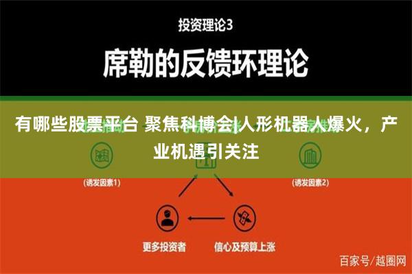 有哪些股票平台 聚焦科博会|人形机器人爆火，产业机遇引关注