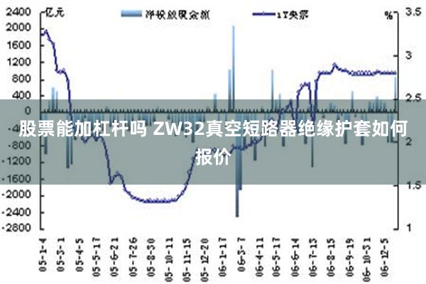 股票能加杠杆吗 ZW32真空短路器绝缘护套如何报价