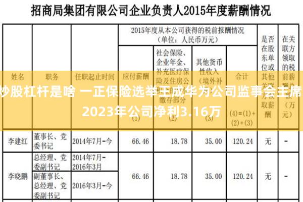 炒股杠杆是啥 一正保险选举王成华为公司监事会主席 2023年公司净利3.16万