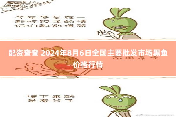 配资查查 2024年8月6日全国主要批发市场黑鱼价格行情