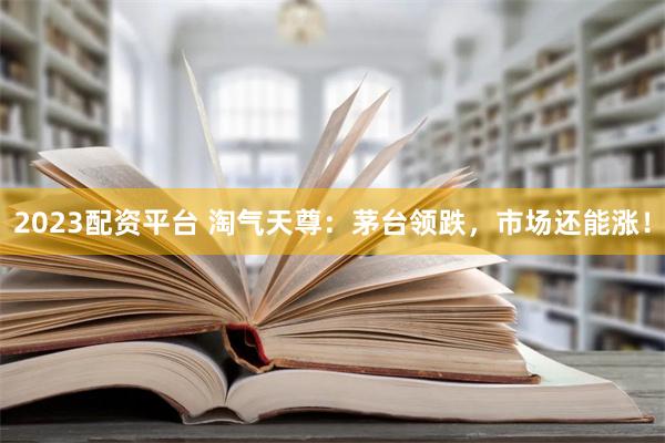 2023配资平台 淘气天尊：茅台领跌，市场还能涨！