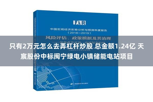 只有2万元怎么去弄杠杆炒股 总金额1.24亿 天宸股份中标闽宁绿电小镇储能电站项目