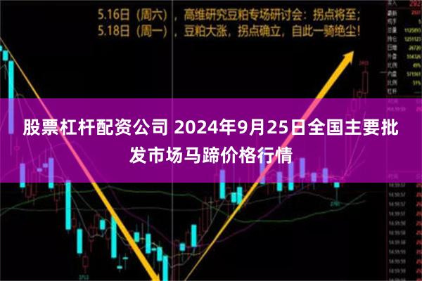 股票杠杆配资公司 2024年9月25日全国主要批发市场马蹄价格行情