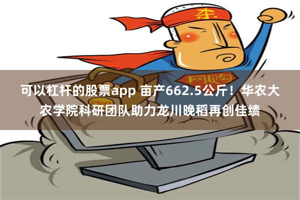 可以杠杆的股票app 亩产662.5公斤！华农大农学院科研团队助力龙川晚稻再创佳绩