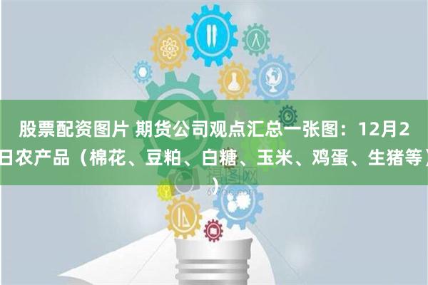 股票配资图片 期货公司观点汇总一张图：12月2日农产品（棉花、豆粕、白糖、玉米、鸡蛋、生猪等）