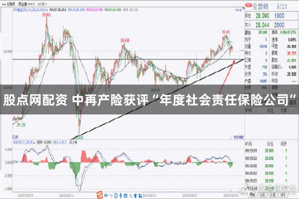 股点网配资 中再产险获评“年度社会责任保险公司”