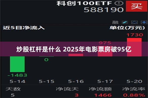 炒股杠杆是什么 2025年电影票房破95亿